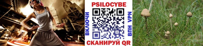 ссылка на мегу вход  Киржач  Галлюциногенные грибы Psilocybine cubensis 